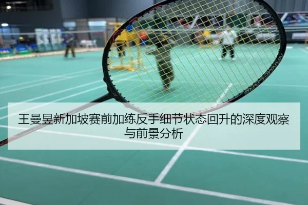 王曼昱新加坡赛前加练反手细节状态回升的深度观察与前景分析